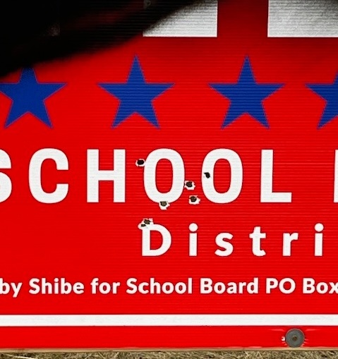 A campaign sign belong to Diane Shibe was peppered with bullets.