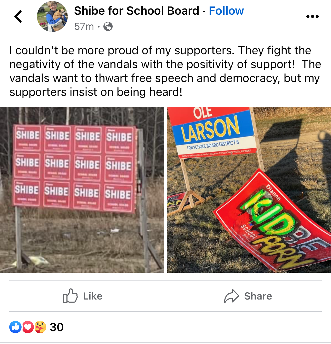 Diane Shibe for MSBSD School Board campaign Facebook post.